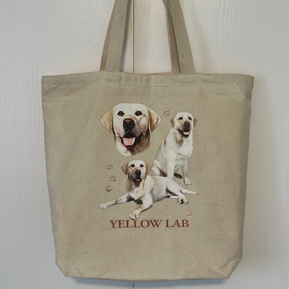 EUC | 100% Canvas Tote Bag